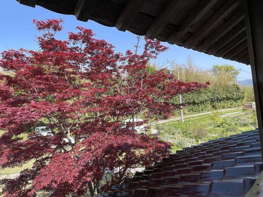 Villa ガーデンハウス道楽亭 Sado Esterno foto